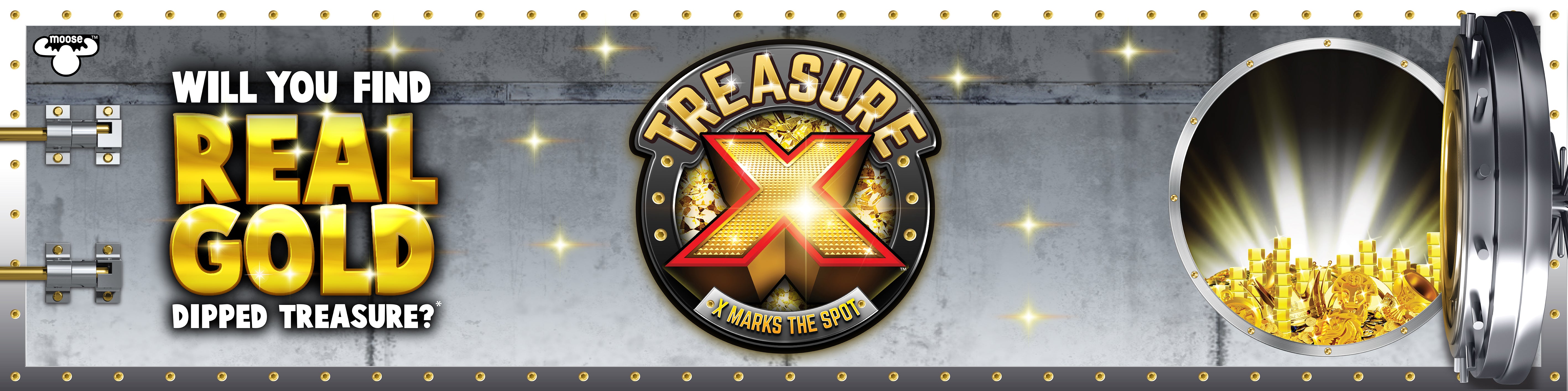 Treasure X
